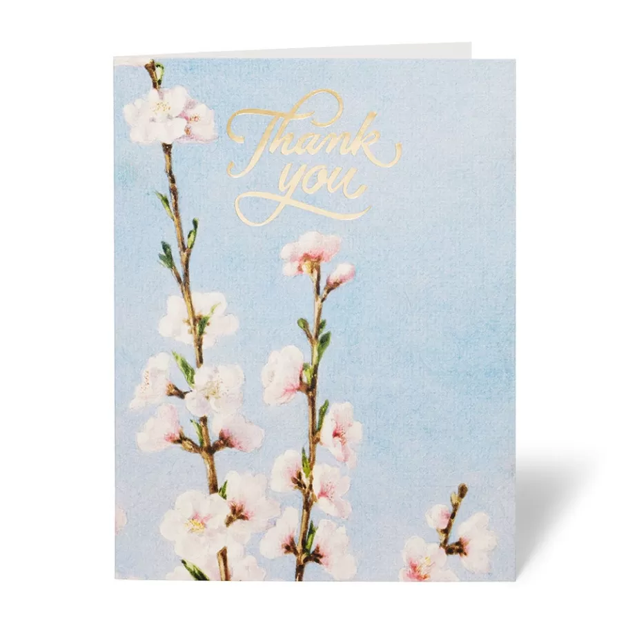 Colección Botánica: Tarjetas Artísticas con Flores de América  
Detalles hechos a mano para expresar gratitud - Estilo Galería Contemporánea  

Tarjetas de Agradecimiento con Acuarelas Nativas  
Papelería Elegante Inspirada en Jardines Estadounidenses  

Notas Florales para Momentos Especiales  
Diseños Exclusivos con Toques Hechos a Mano - Edición Museo Moderno