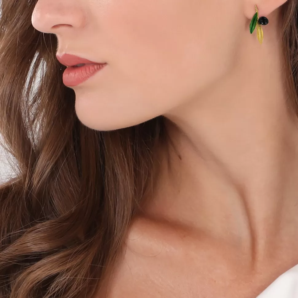 Aretes de Plata Anima Olea con Diseño Botánico - Detalles de Hojas de Olivo para Mujer 

(Alternativa: Pendientes Mediterráneos en Plata 925 con Motivos Naturales - Colección Folli Follie)