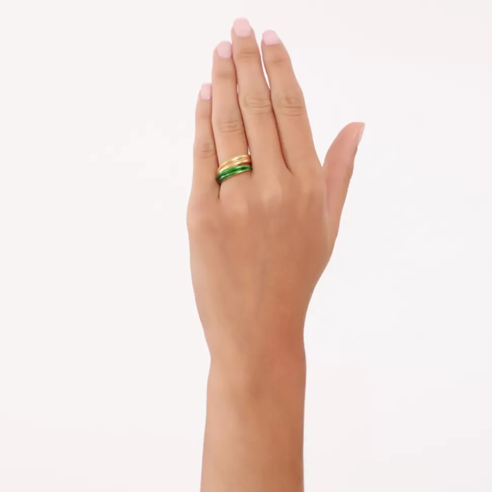 Anillo de Plata para Mujer - Colección Anima Olea de Folli Follie con Detalles en Hoja de Olivo