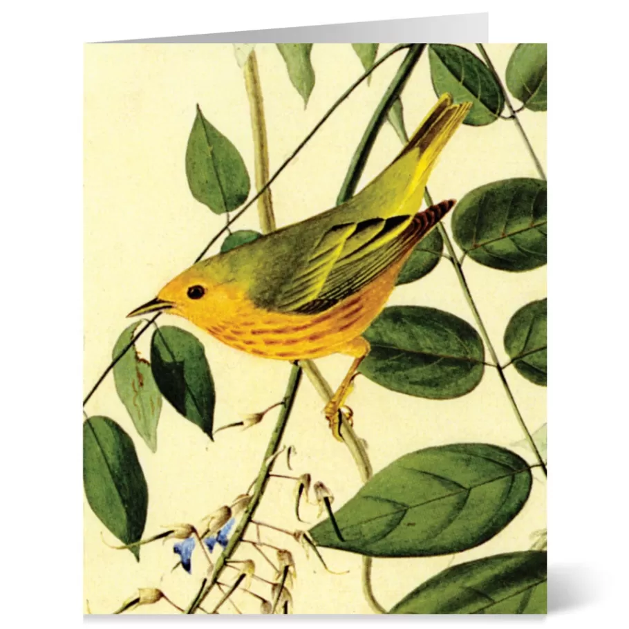 Tarjetas Artísticas del Museo Met - Colección Aves de Audubon con Ilustraciones Detalladas para Correspondencia