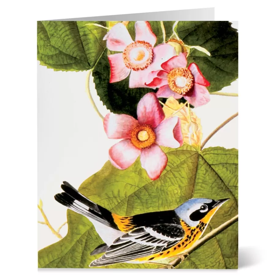 Tarjetas Artísticas del Museo Met - Colección Aves de Audubon con Ilustraciones Detalladas para Correspondencia