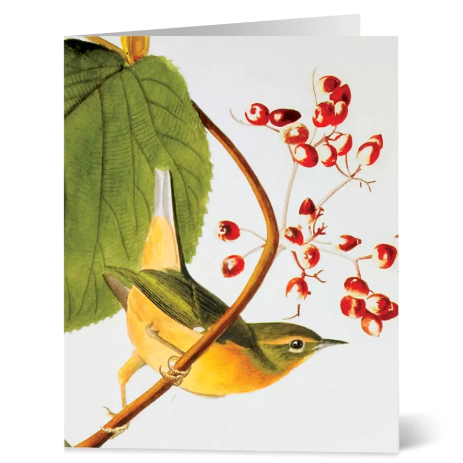 Tarjetas Artísticas del Museo Met - Colección Aves de Audubon con Ilustraciones Detalladas para Correspondencia