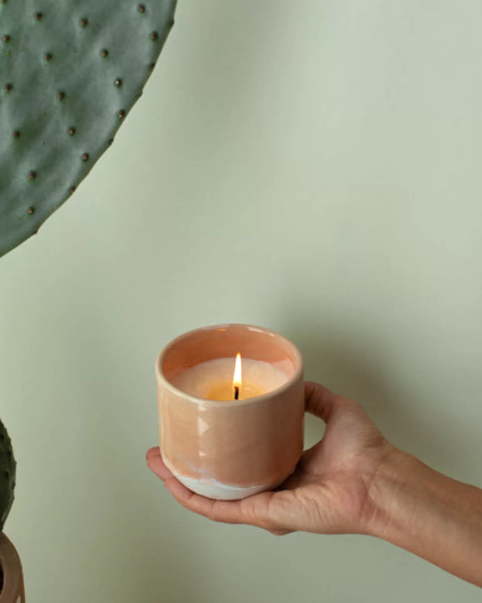 Velas Aromáticas Brisa Mediterránea - Fragancia de Albaricoque por Miio Coimbra