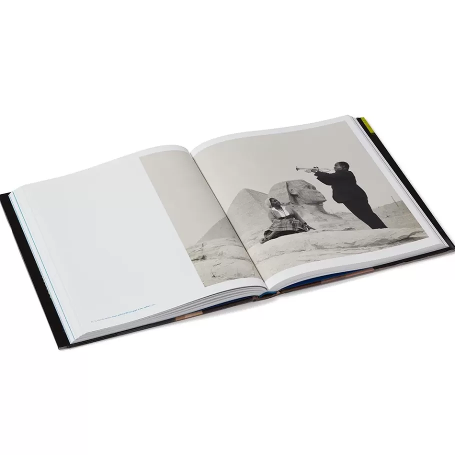 The Met Store Coffee Table Books | Met Publications*Flight into Egypt: Black Artists and Ancient Egypt, 1876–Now