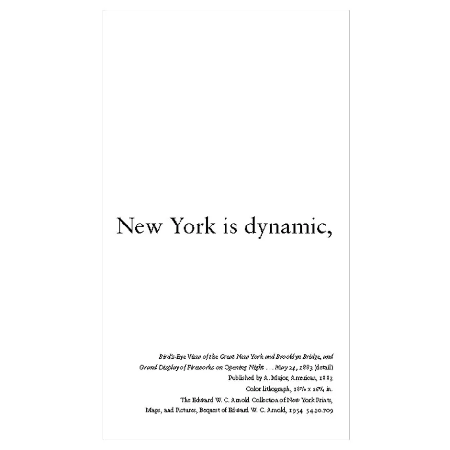 The Met Store Met Publications*NEW YORK IS…