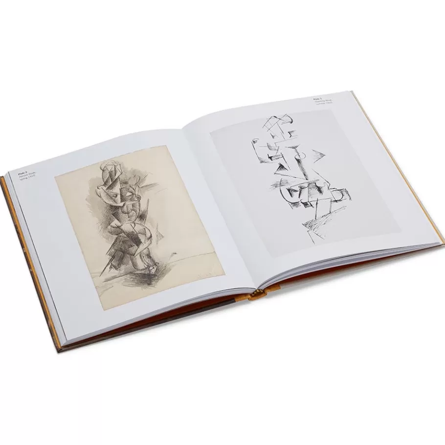 The Met Store Coffee Table Books | Met Publications*Picasso: A Cubist Commission in Brooklyn