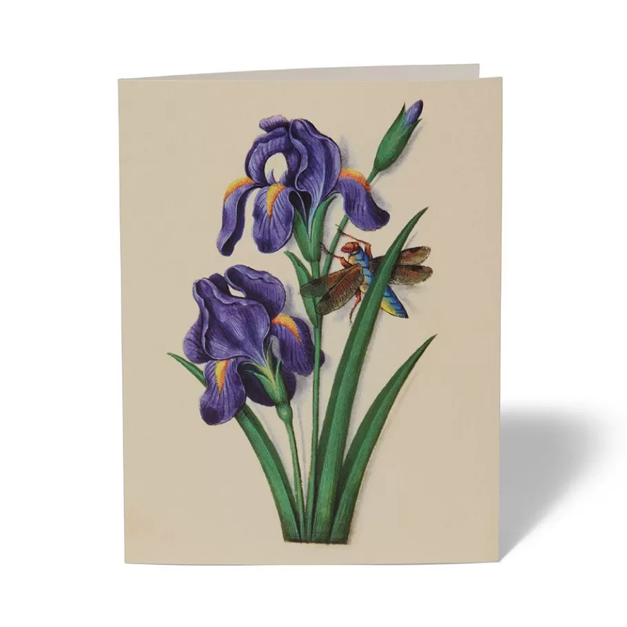 Jardines Medievales del Met - Tarjetas Artísticas Coleccionables para Escritos y Regalos