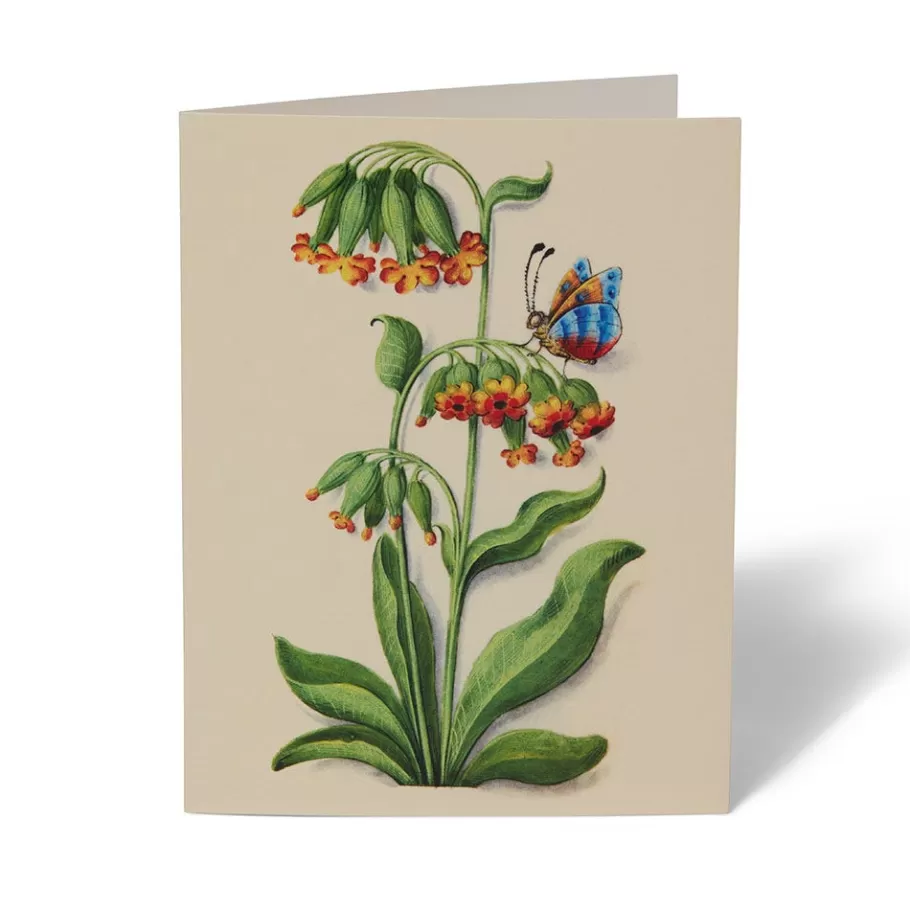 Jardines Medievales del Met - Tarjetas Artísticas Coleccionables para Escritos y Regalos