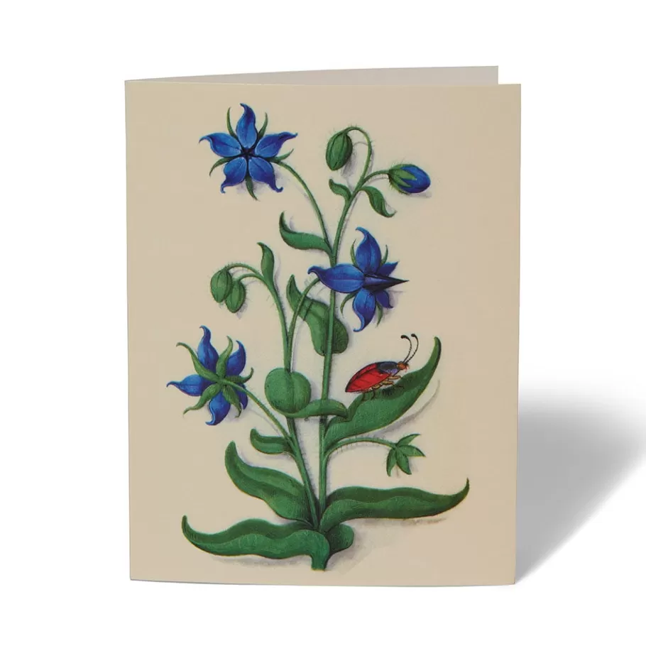 Jardines Medievales del Met - Tarjetas Artísticas Coleccionables para Escritos y Regalos