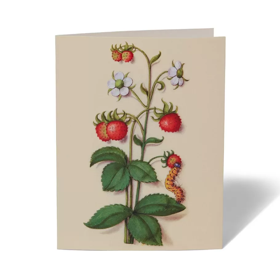 Jardines Medievales del Met - Tarjetas Artísticas Coleccionables para Escritos y Regalos