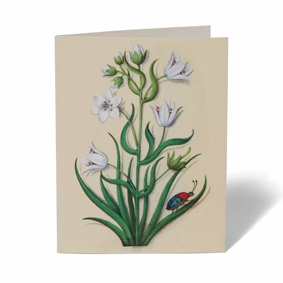 Jardines Medievales del Met - Tarjetas Artísticas Coleccionables para Escritos y Regalos