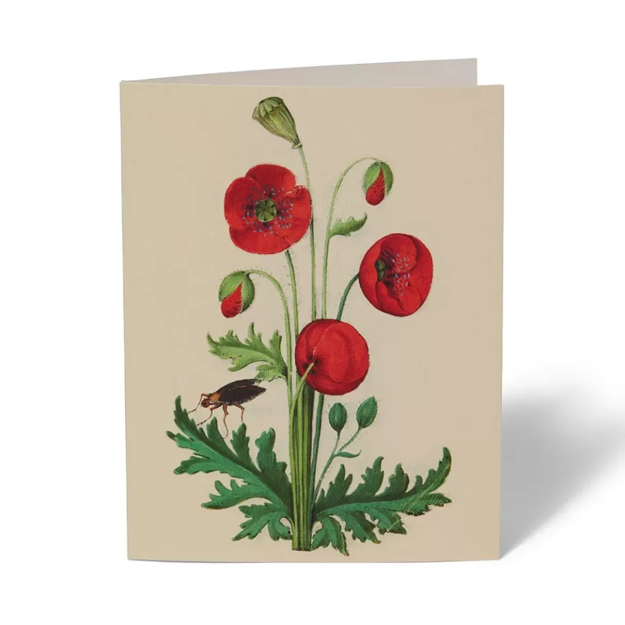 Jardines Medievales del Met - Tarjetas Artísticas Coleccionables para Escritos y Regalos