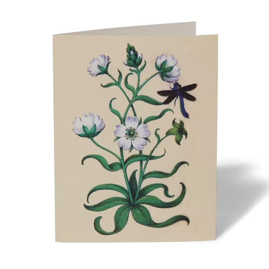 Jardines Medievales del Met - Tarjetas Artísticas Coleccionables para Escritos y Regalos