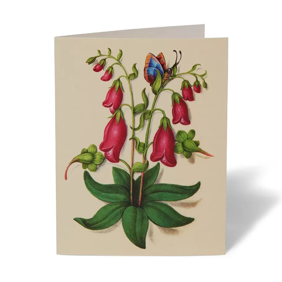 Jardines Medievales del Met - Tarjetas Artísticas Coleccionables para Escritos y Regalos