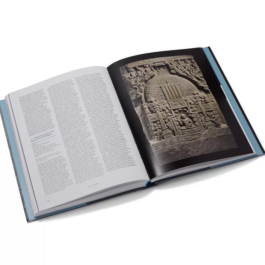 The Met Store Met Publications | Exhibition Catalogues*Tree & Serpent: Early Buddhist Art in India