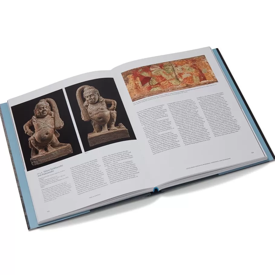 The Met Store Met Publications | Exhibition Catalogues*Tree & Serpent: Early Buddhist Art in India